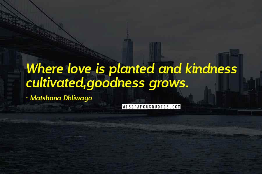 Matshona Dhliwayo Quotes: Where love is planted and kindness cultivated,goodness grows.