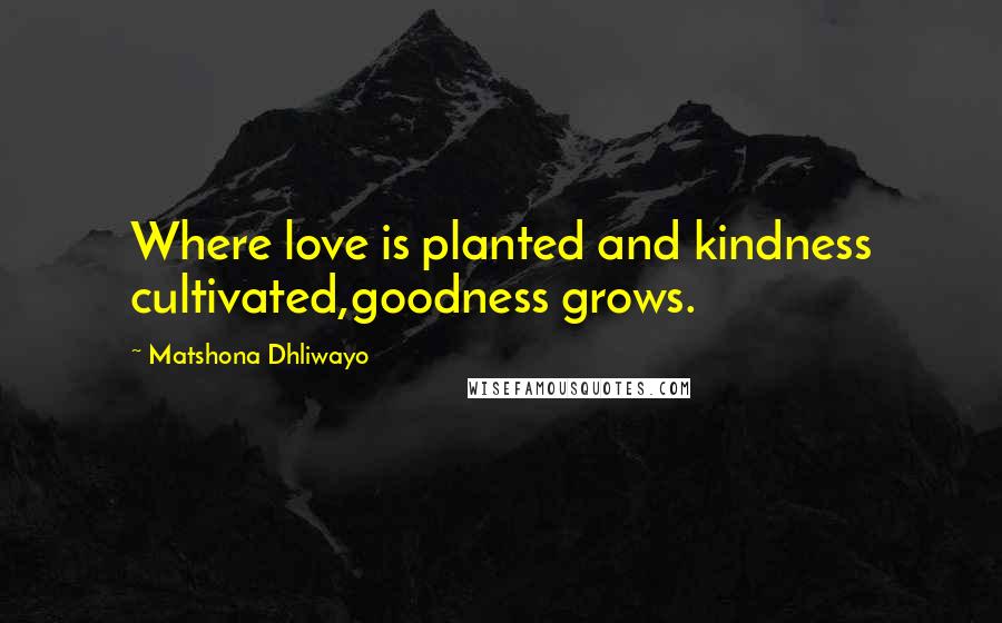 Matshona Dhliwayo Quotes: Where love is planted and kindness cultivated,goodness grows.