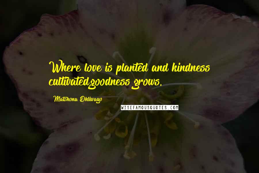 Matshona Dhliwayo Quotes: Where love is planted and kindness cultivated,goodness grows.