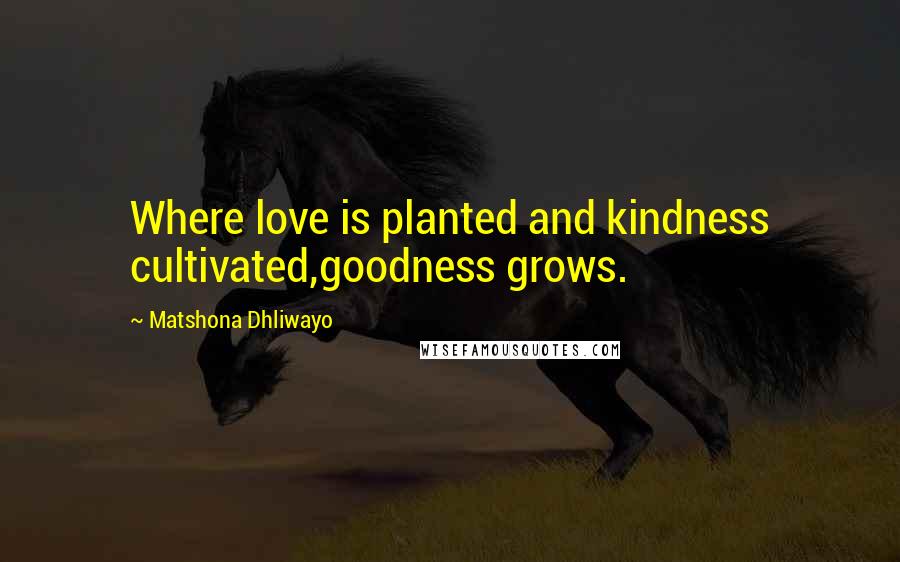 Matshona Dhliwayo Quotes: Where love is planted and kindness cultivated,goodness grows.