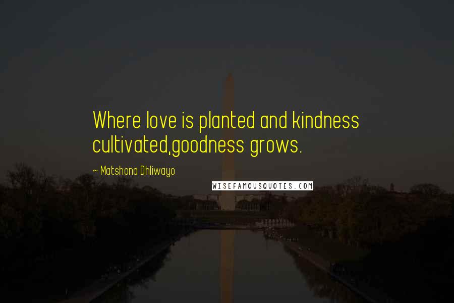 Matshona Dhliwayo Quotes: Where love is planted and kindness cultivated,goodness grows.