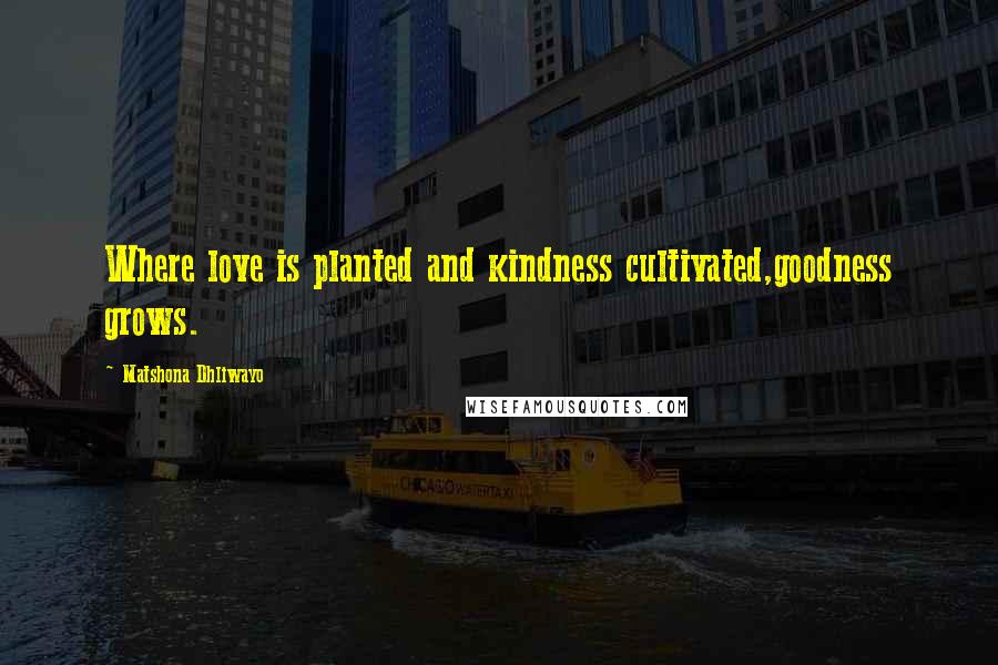 Matshona Dhliwayo Quotes: Where love is planted and kindness cultivated,goodness grows.