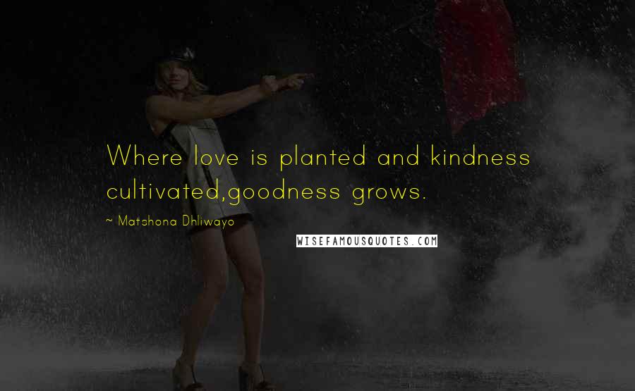 Matshona Dhliwayo Quotes: Where love is planted and kindness cultivated,goodness grows.