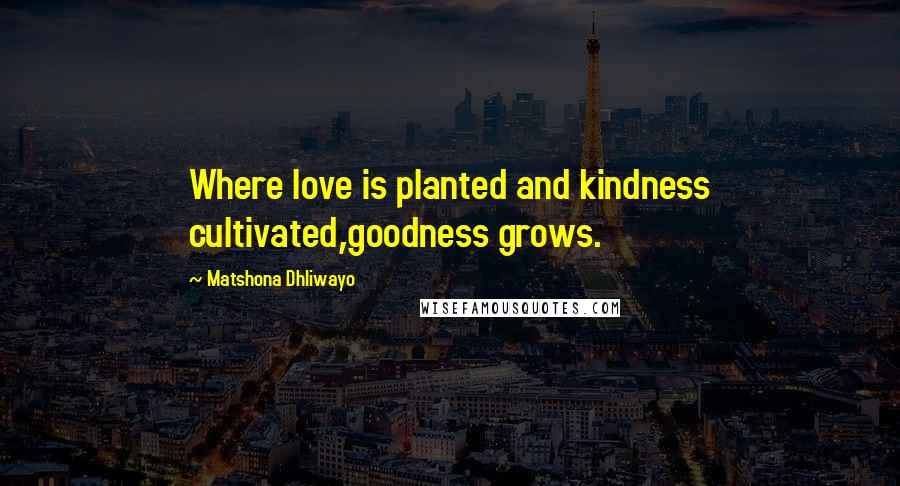 Matshona Dhliwayo Quotes: Where love is planted and kindness cultivated,goodness grows.