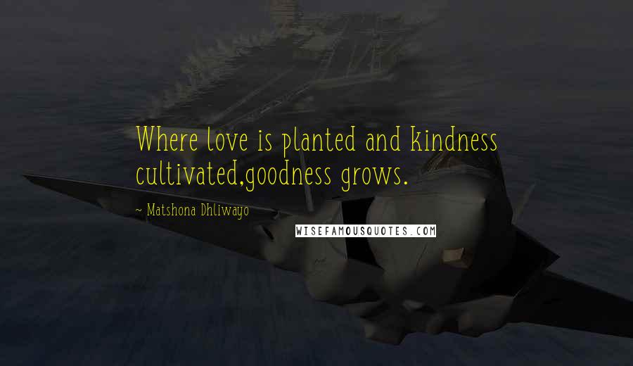 Matshona Dhliwayo Quotes: Where love is planted and kindness cultivated,goodness grows.