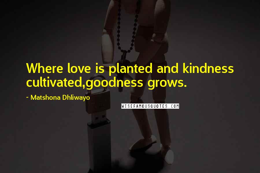 Matshona Dhliwayo Quotes: Where love is planted and kindness cultivated,goodness grows.