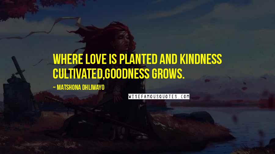 Matshona Dhliwayo Quotes: Where love is planted and kindness cultivated,goodness grows.