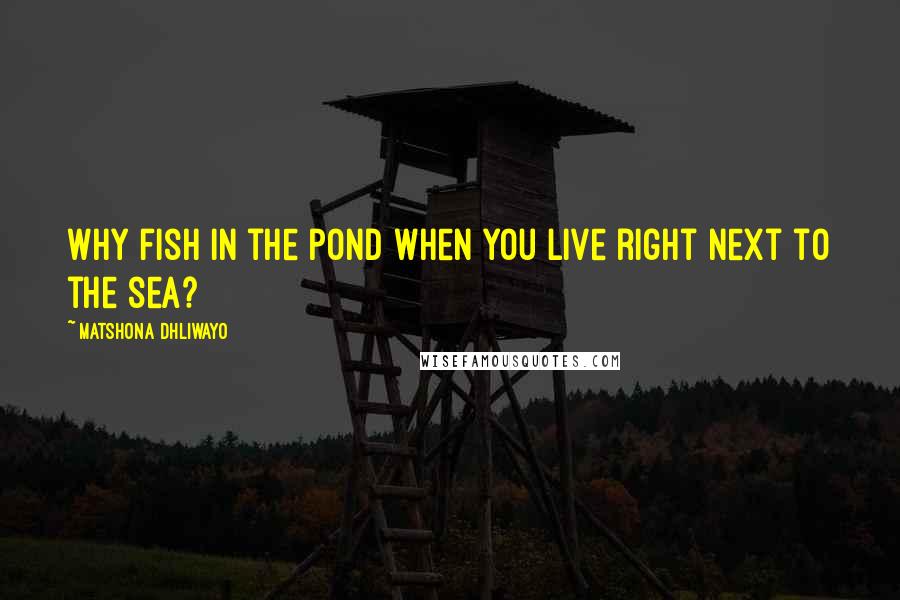 Matshona Dhliwayo Quotes: Why fish in the pond when you live right next to the sea?