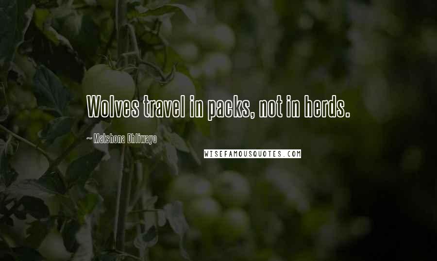 Matshona Dhliwayo Quotes: Wolves travel in packs, not in herds.