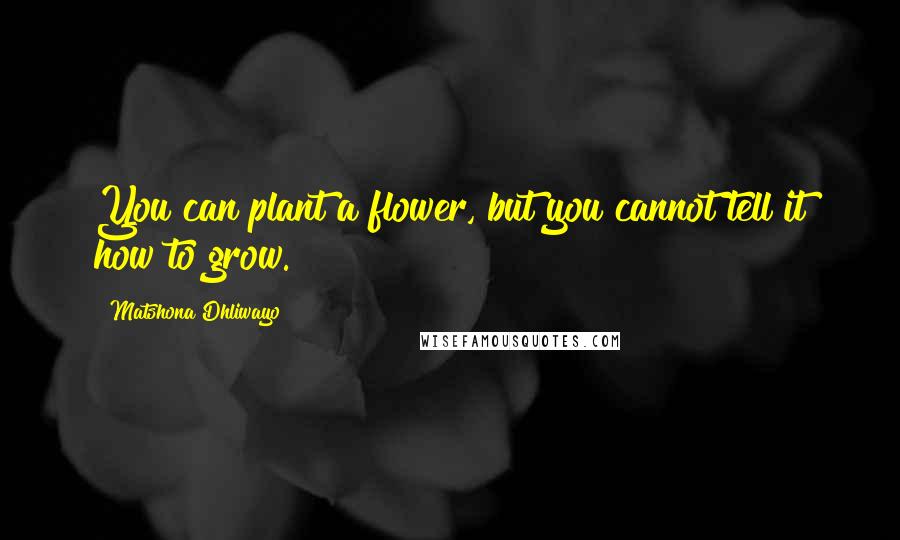 Matshona Dhliwayo Quotes: You can plant a flower, but you cannot tell it how to grow.