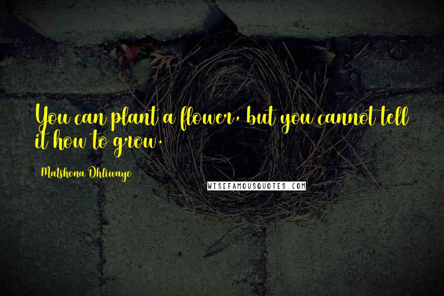 Matshona Dhliwayo Quotes: You can plant a flower, but you cannot tell it how to grow.