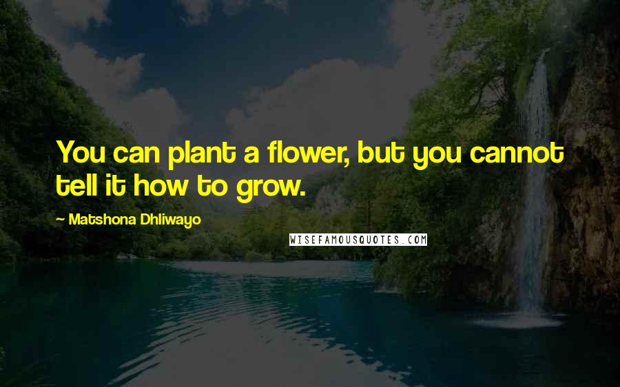 Matshona Dhliwayo Quotes: You can plant a flower, but you cannot tell it how to grow.