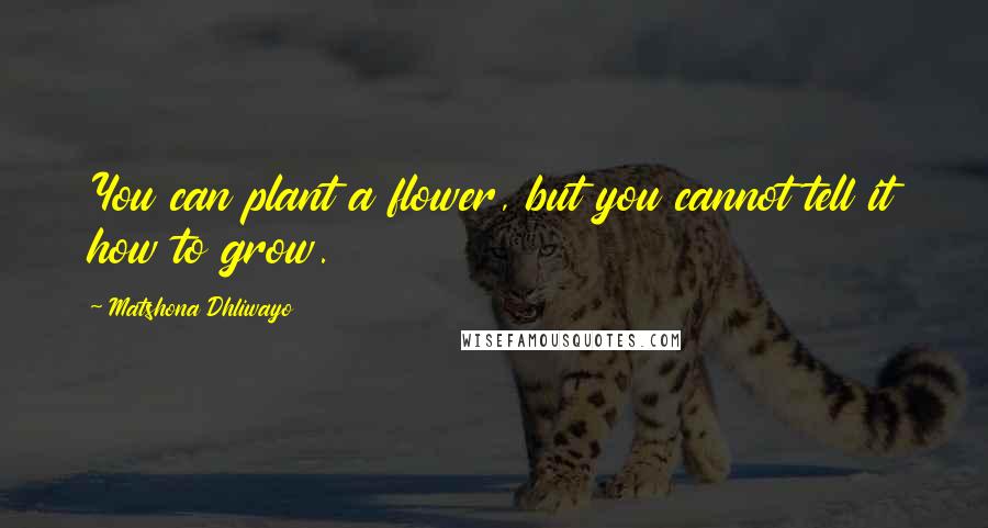 Matshona Dhliwayo Quotes: You can plant a flower, but you cannot tell it how to grow.