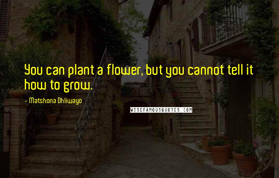 Matshona Dhliwayo Quotes: You can plant a flower, but you cannot tell it how to grow.
