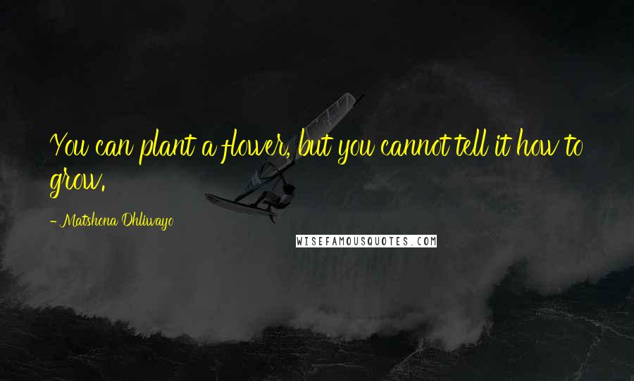 Matshona Dhliwayo Quotes: You can plant a flower, but you cannot tell it how to grow.