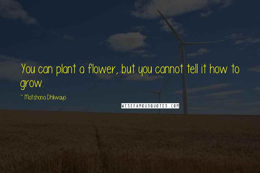 Matshona Dhliwayo Quotes: You can plant a flower, but you cannot tell it how to grow.