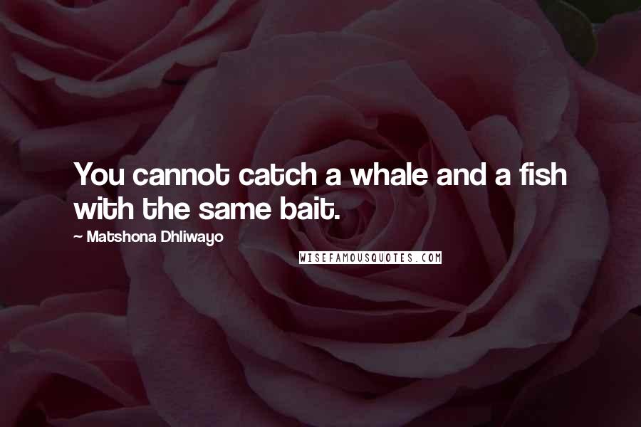 Matshona Dhliwayo Quotes: You cannot catch a whale and a fish with the same bait.