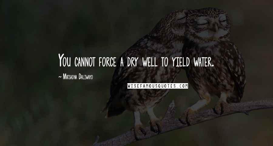 Matshona Dhliwayo Quotes: You cannot force a dry well to yield water.