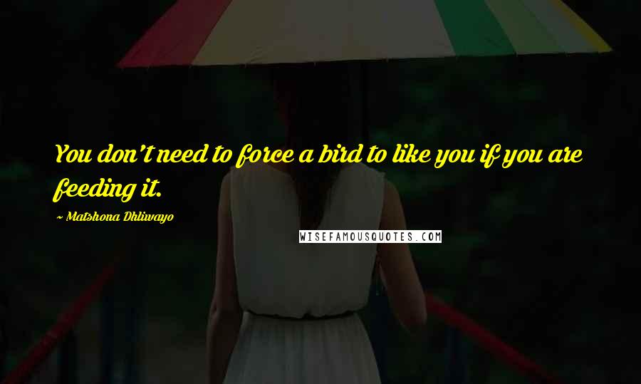 Matshona Dhliwayo Quotes: You don't need to force a bird to like you if you are feeding it.