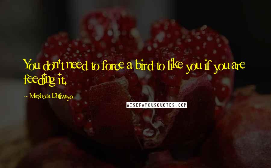 Matshona Dhliwayo Quotes: You don't need to force a bird to like you if you are feeding it.