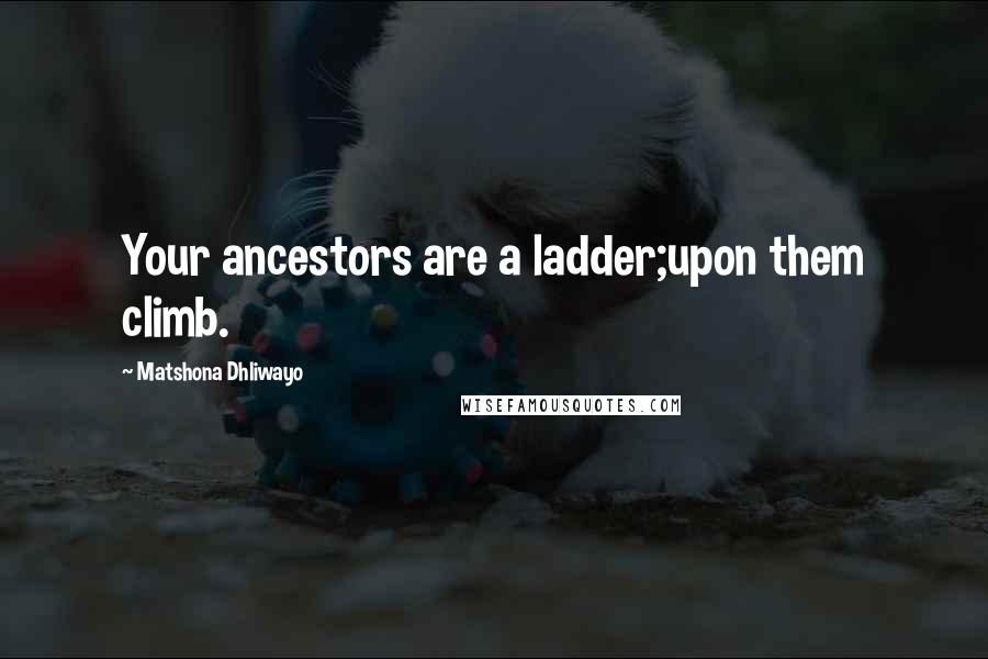 Matshona Dhliwayo Quotes: Your ancestors are a ladder;upon them climb.