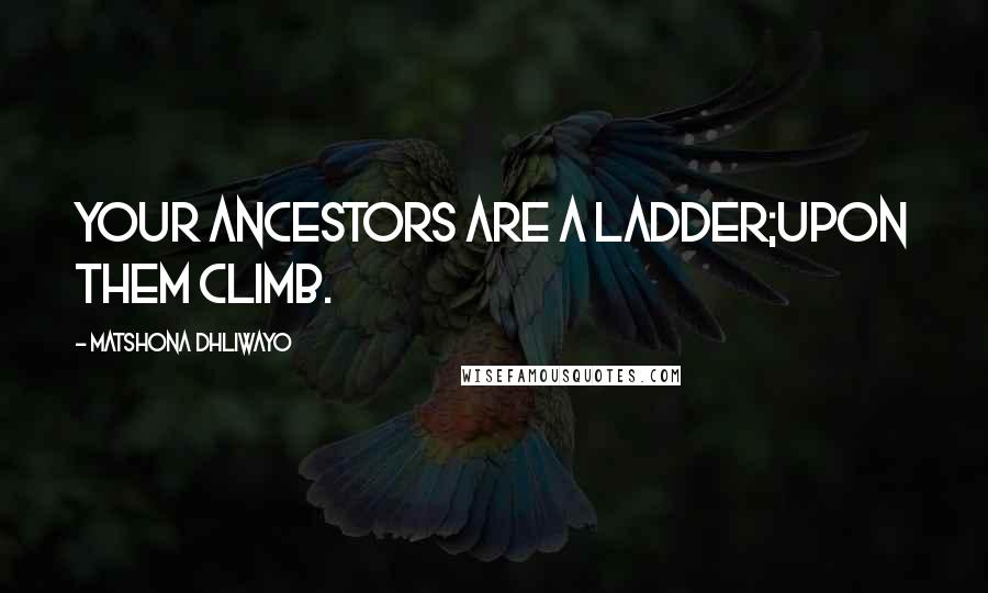 Matshona Dhliwayo Quotes: Your ancestors are a ladder;upon them climb.