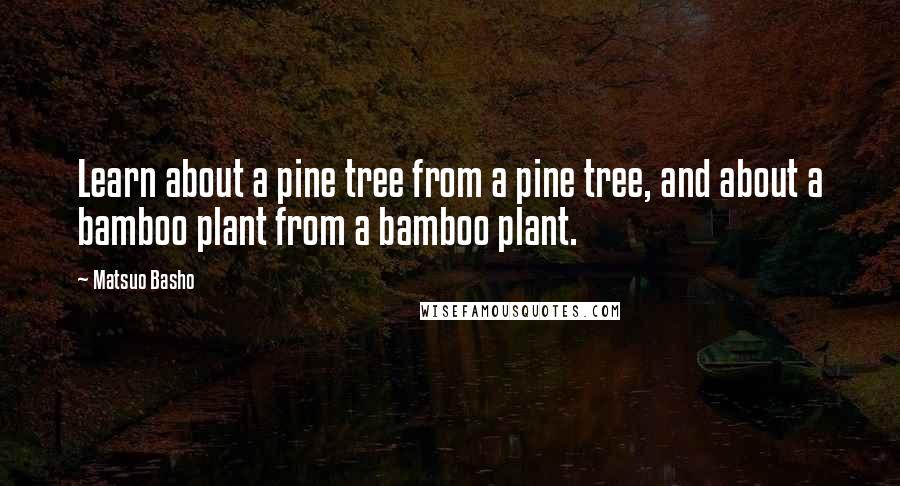Matsuo Basho Quotes: Learn about a pine tree from a pine tree, and about a bamboo plant from a bamboo plant.