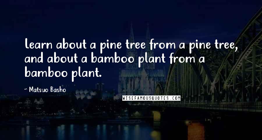 Matsuo Basho Quotes: Learn about a pine tree from a pine tree, and about a bamboo plant from a bamboo plant.