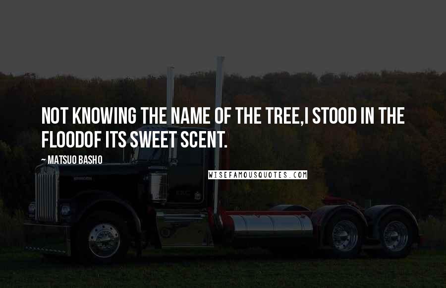 Matsuo Basho Quotes: Not knowing the name of the tree,I stood in the floodof its sweet scent.