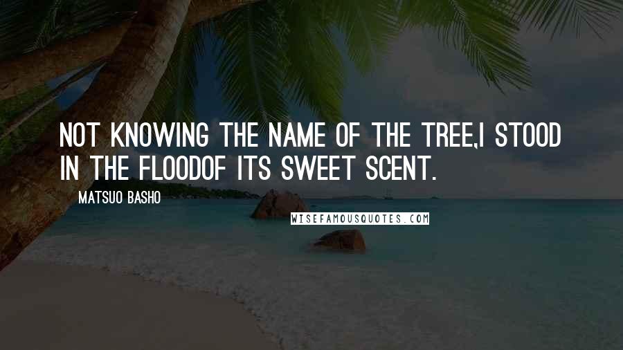 Matsuo Basho Quotes: Not knowing the name of the tree,I stood in the floodof its sweet scent.