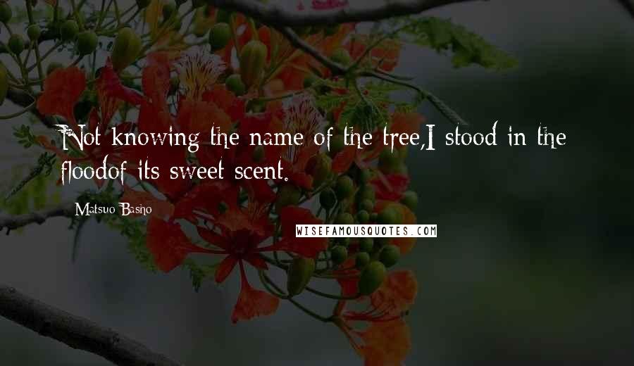 Matsuo Basho Quotes: Not knowing the name of the tree,I stood in the floodof its sweet scent.