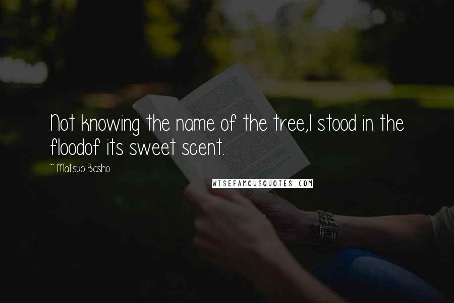 Matsuo Basho Quotes: Not knowing the name of the tree,I stood in the floodof its sweet scent.