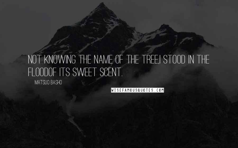 Matsuo Basho Quotes: Not knowing the name of the tree,I stood in the floodof its sweet scent.
