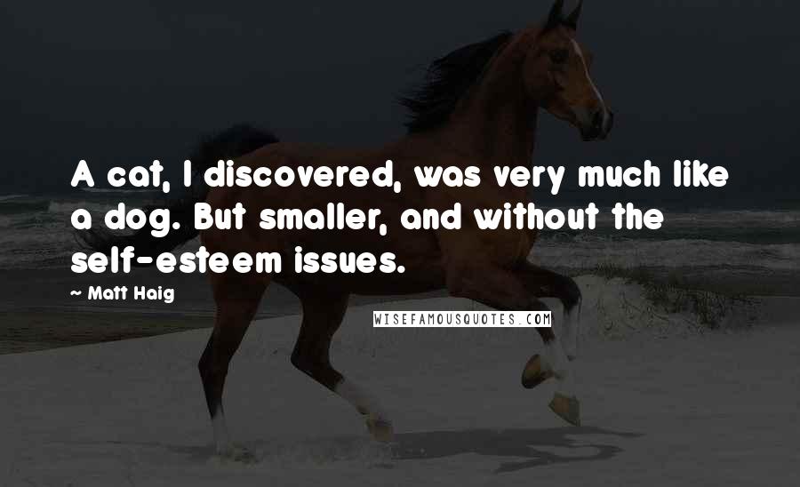 Matt Haig Quotes: A cat, I discovered, was very much like a dog. But smaller, and without the self-esteem issues.