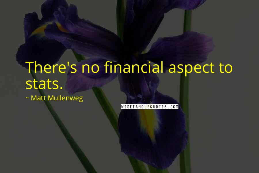 Matt Mullenweg Quotes: There's no financial aspect to stats.