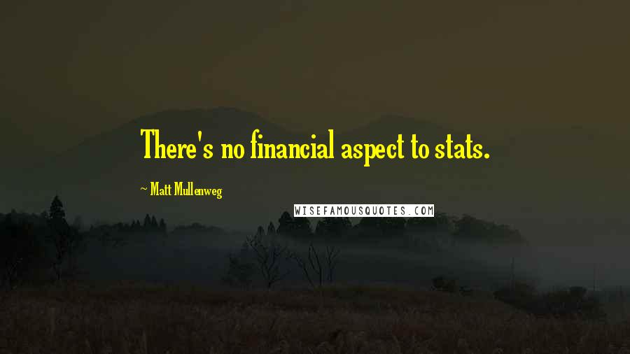 Matt Mullenweg Quotes: There's no financial aspect to stats.