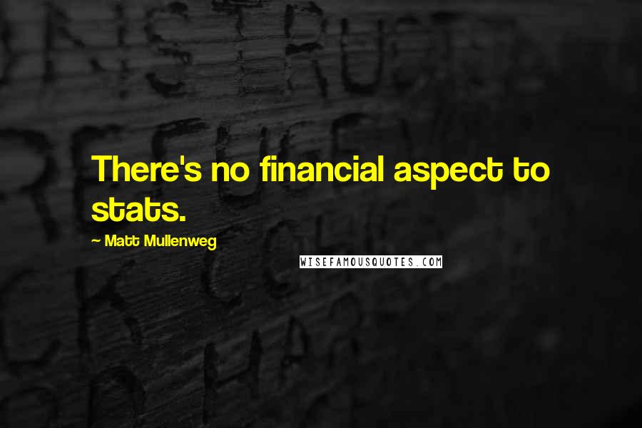 Matt Mullenweg Quotes: There's no financial aspect to stats.