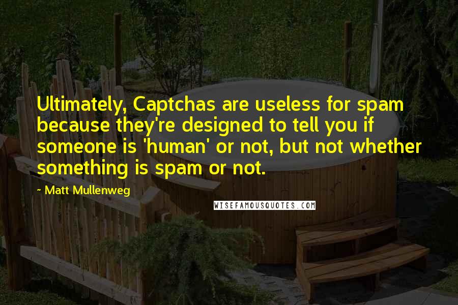 Matt Mullenweg Quotes: Ultimately, Captchas are useless for spam because they're designed to tell you if someone is 'human' or not, but not whether something is spam or not.
