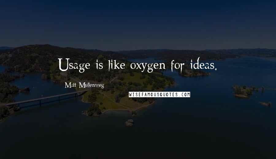 Matt Mullenweg Quotes: Usage is like oxygen for ideas.