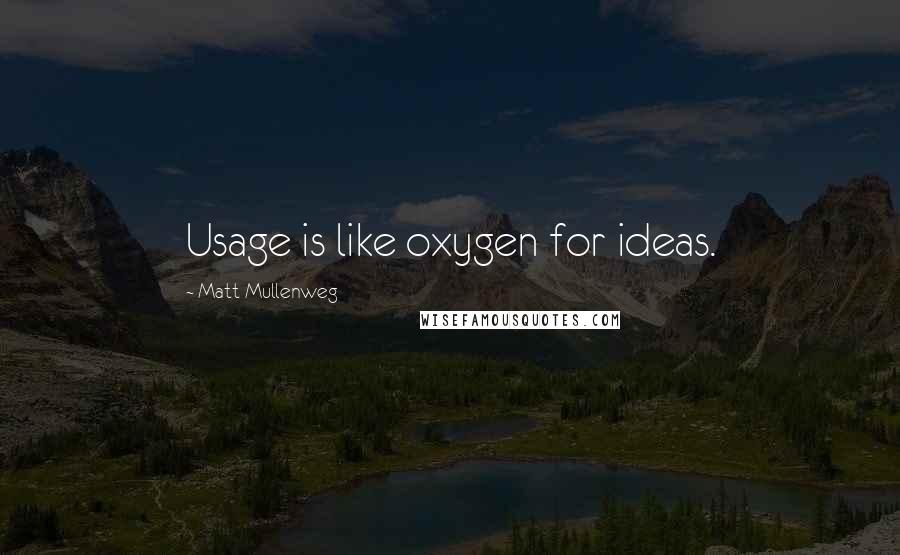 Matt Mullenweg Quotes: Usage is like oxygen for ideas.