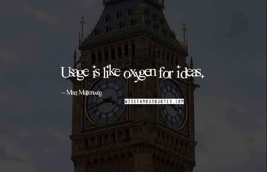 Matt Mullenweg Quotes: Usage is like oxygen for ideas.