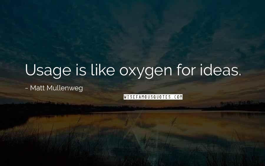 Matt Mullenweg Quotes: Usage is like oxygen for ideas.