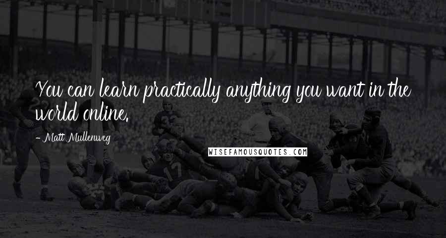 Matt Mullenweg Quotes: You can learn practically anything you want in the world online.