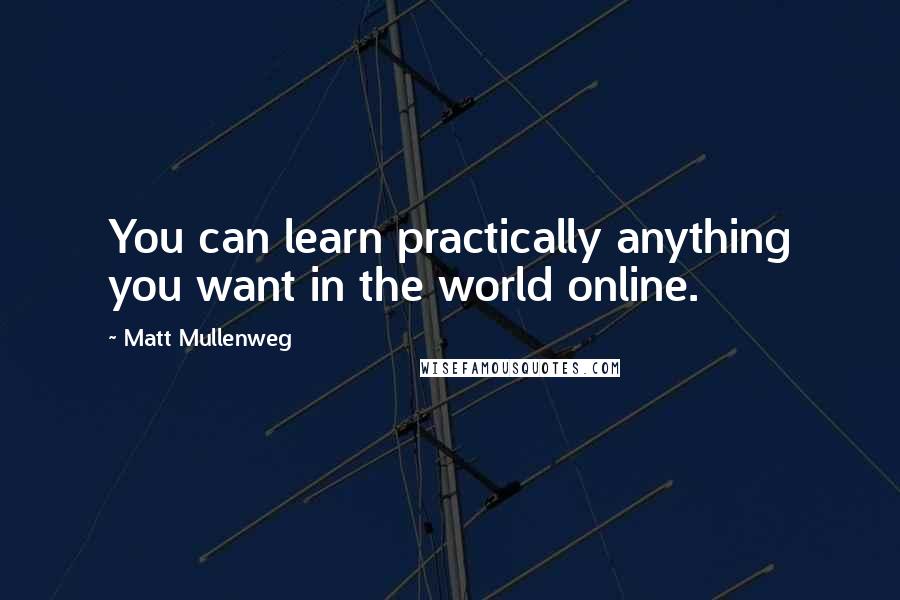 Matt Mullenweg Quotes: You can learn practically anything you want in the world online.