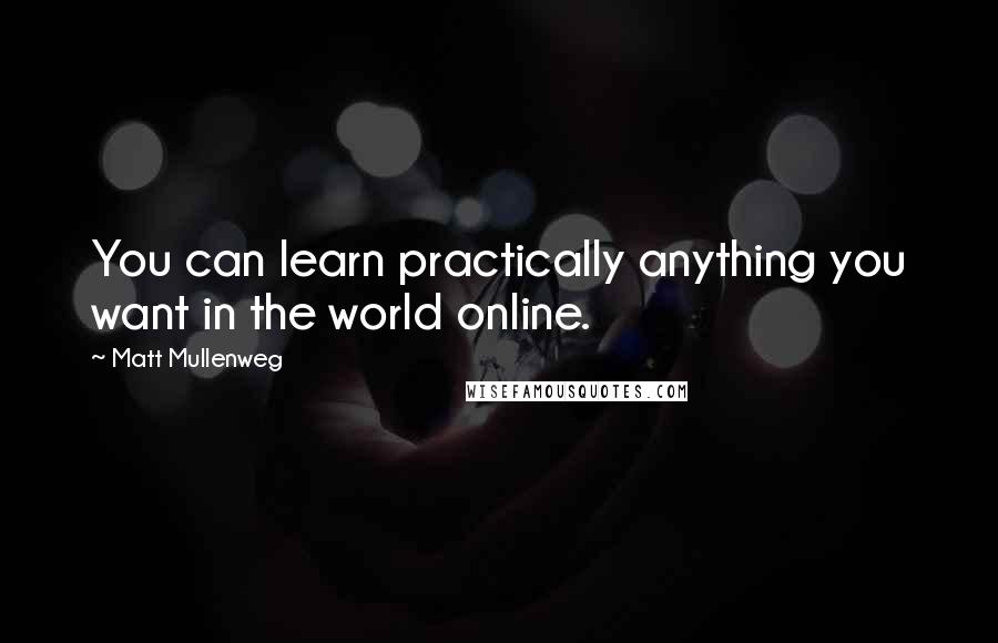 Matt Mullenweg Quotes: You can learn practically anything you want in the world online.