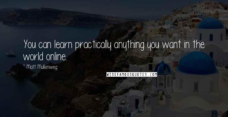 Matt Mullenweg Quotes: You can learn practically anything you want in the world online.