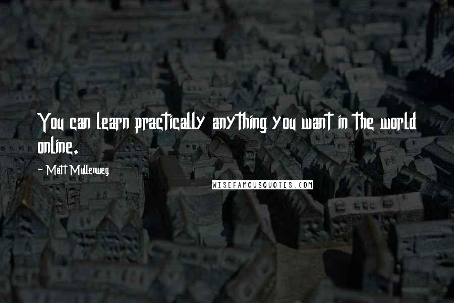 Matt Mullenweg Quotes: You can learn practically anything you want in the world online.