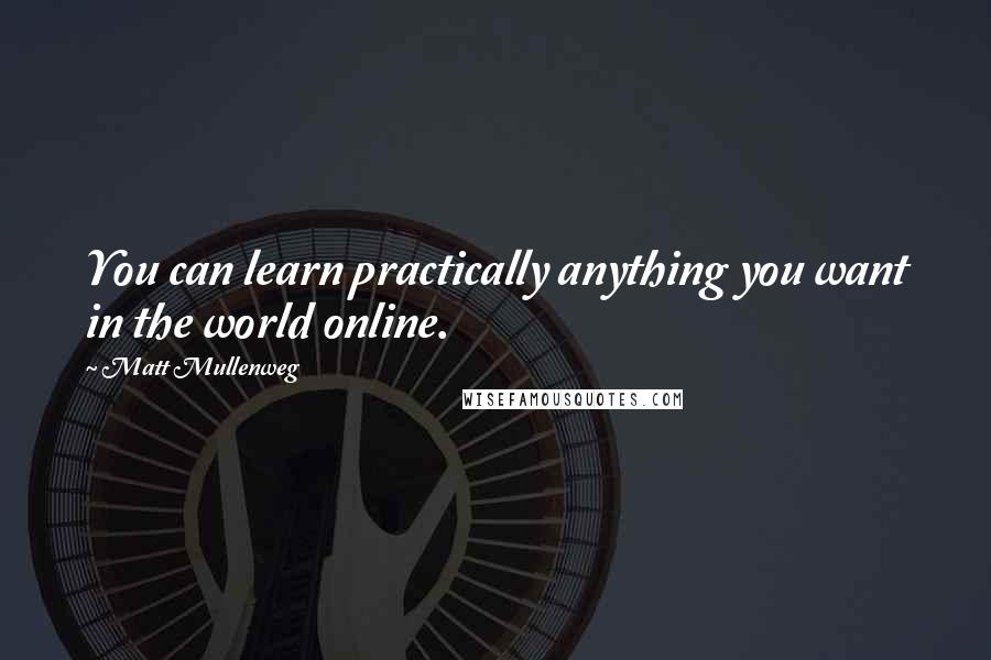 Matt Mullenweg Quotes: You can learn practically anything you want in the world online.