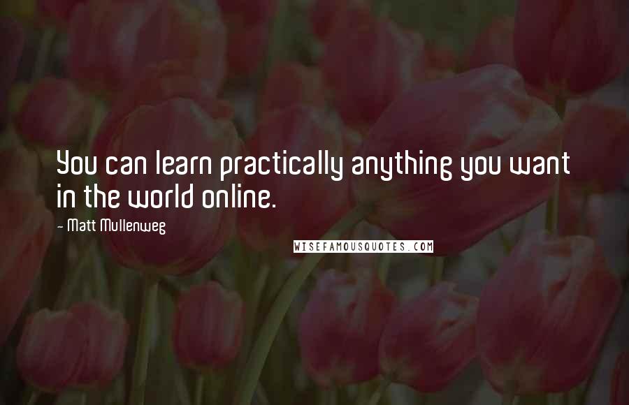Matt Mullenweg Quotes: You can learn practically anything you want in the world online.