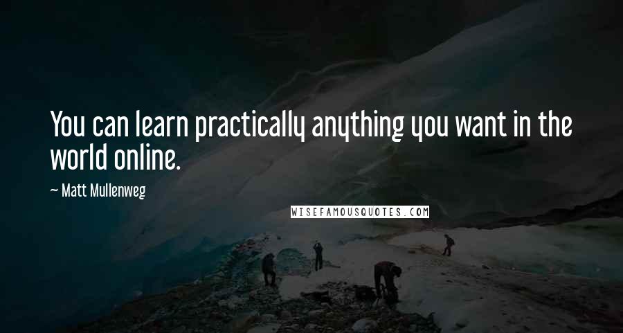 Matt Mullenweg Quotes: You can learn practically anything you want in the world online.